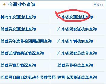 查询广东省的交通违章情况