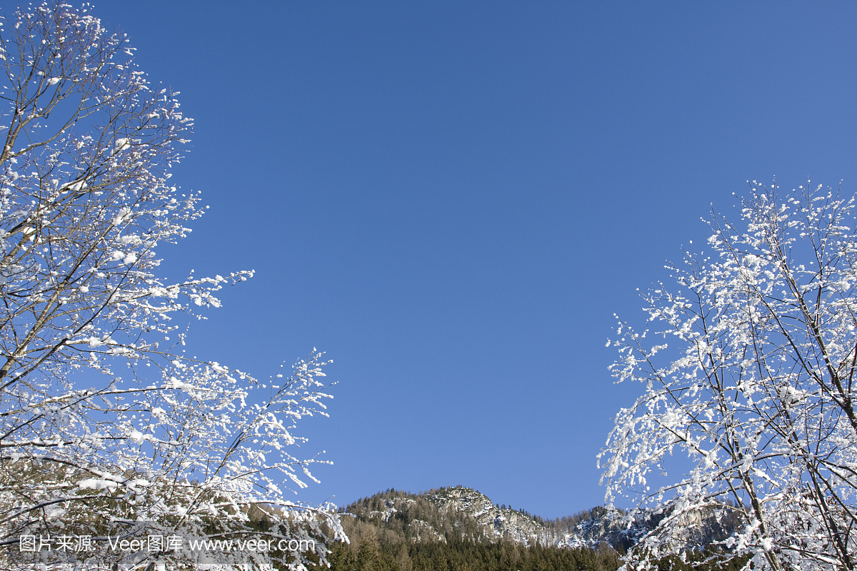 颤抖,打冷战,哆哆嗦嗦,打寒战