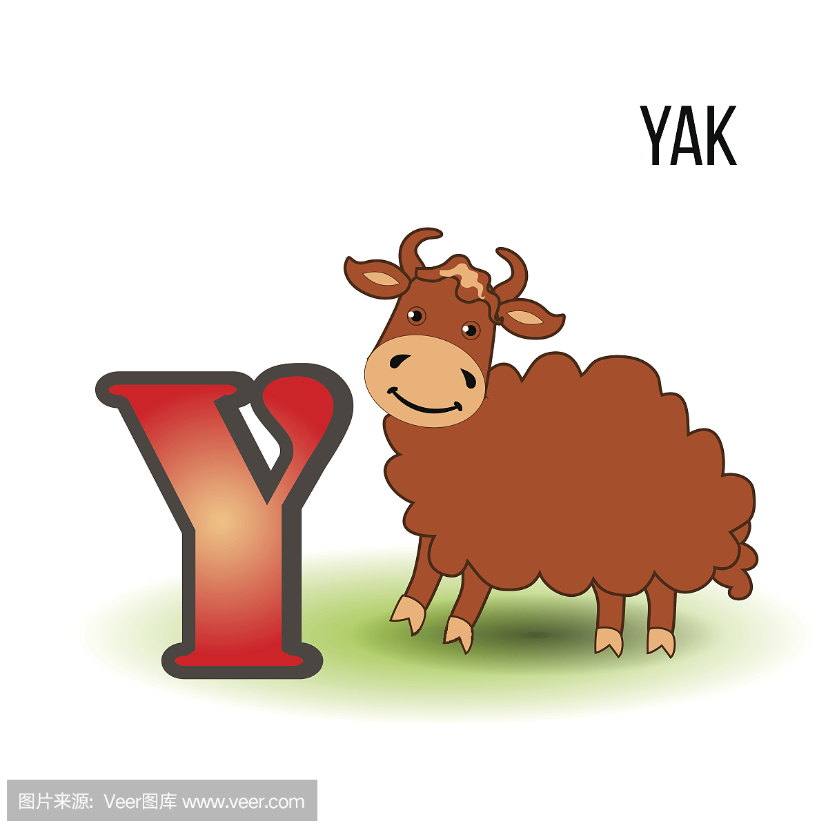 可爱的动物园字母表Y与卡通牦牛,孩子野生动物