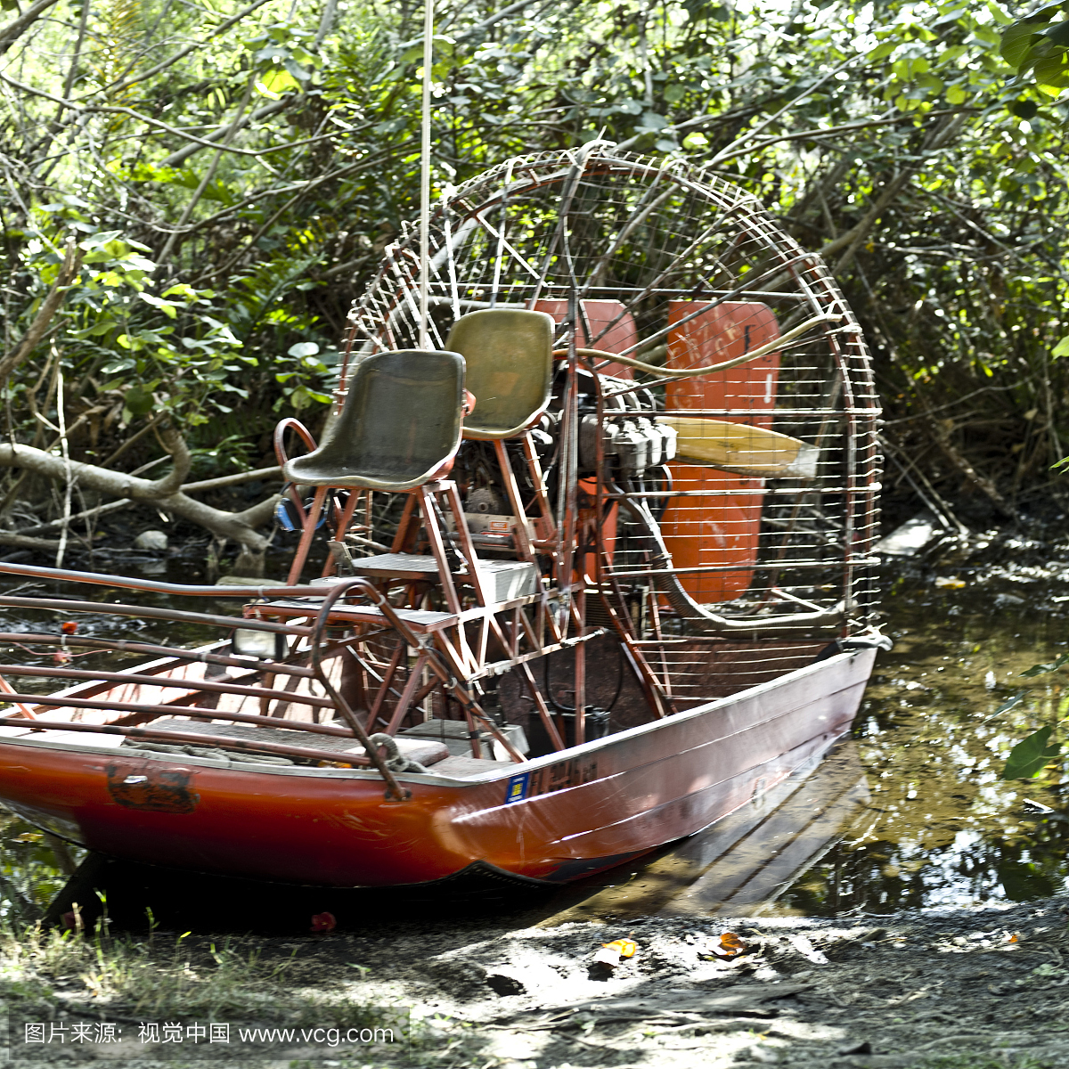 Sumpfboot在大沼泽地