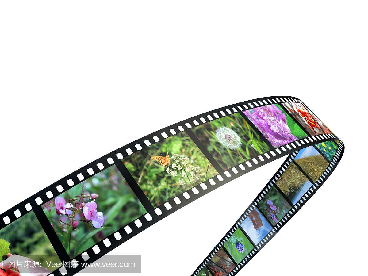 披披岛,披披群岛,皮皮岛,电影摄影师