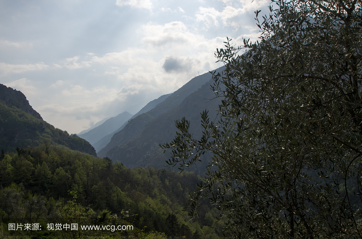 宁静,风景,索皮尔,蔚蓝海岸地区