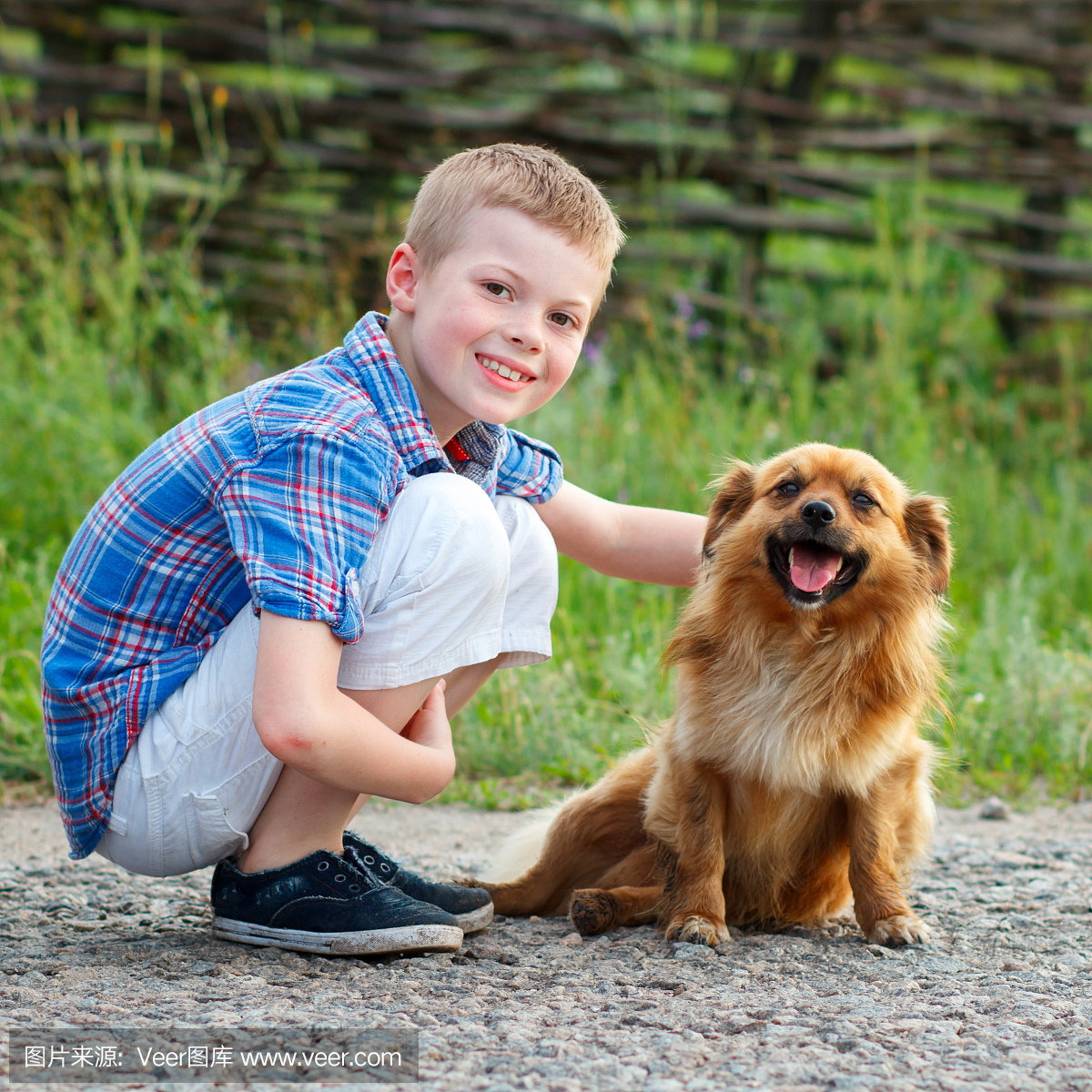 男孩穿着格子衬衫,抱着一只红色的蓬松狗。最