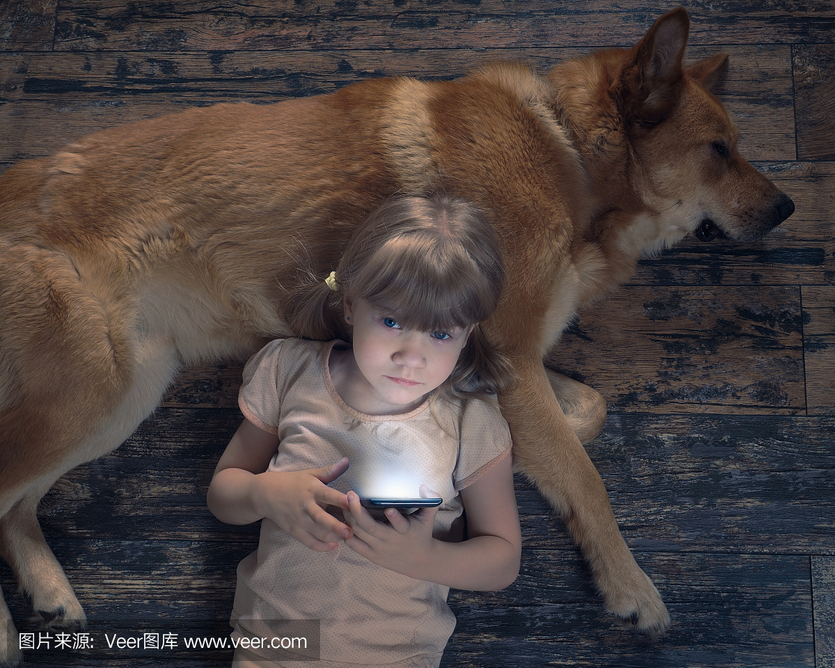 信任,信托,放心,可靠