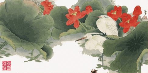 电脑蜻蜓动态壁纸