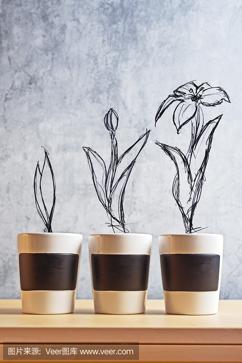 花成长阶段草图