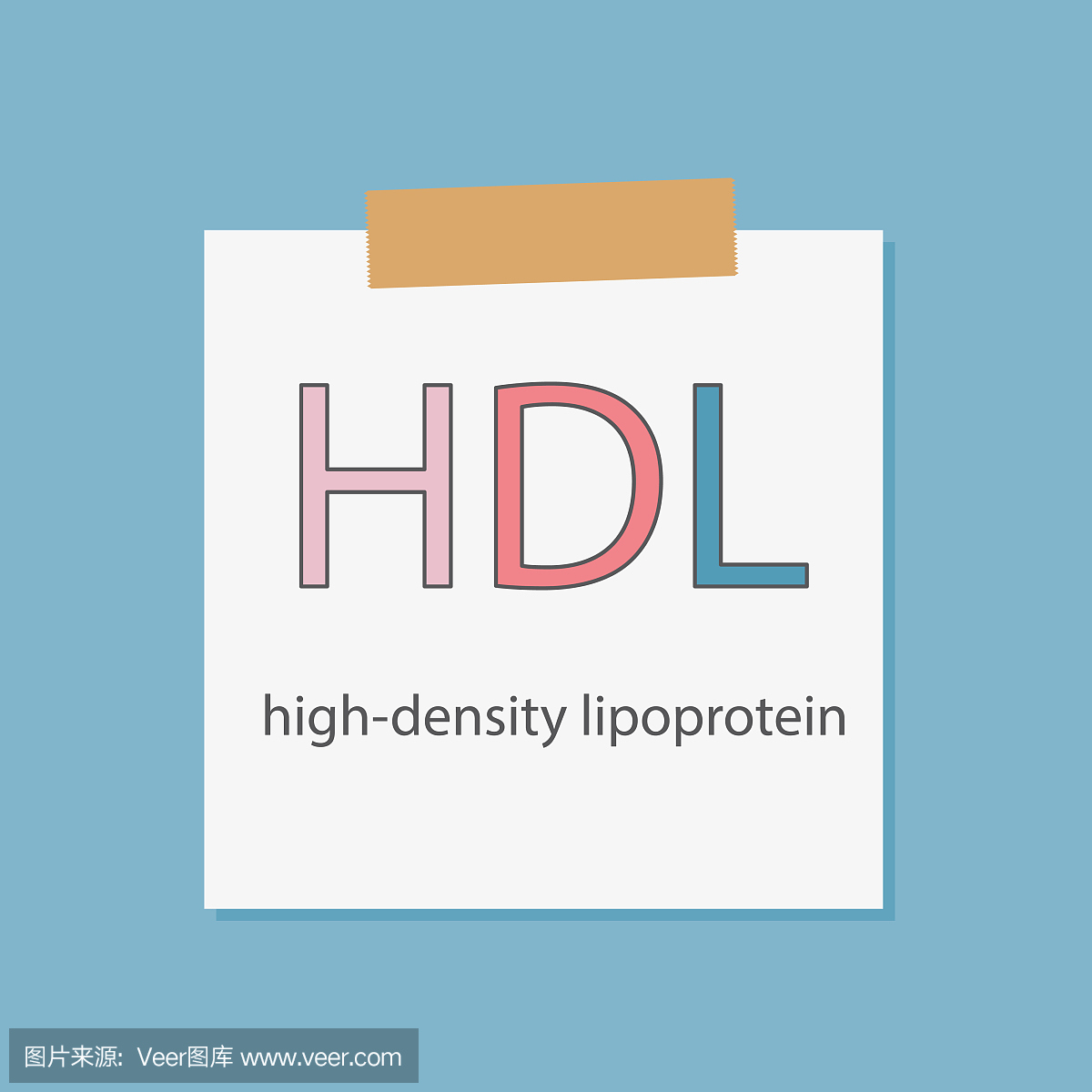 HDL用笔记本纸写的高密度脂蛋白