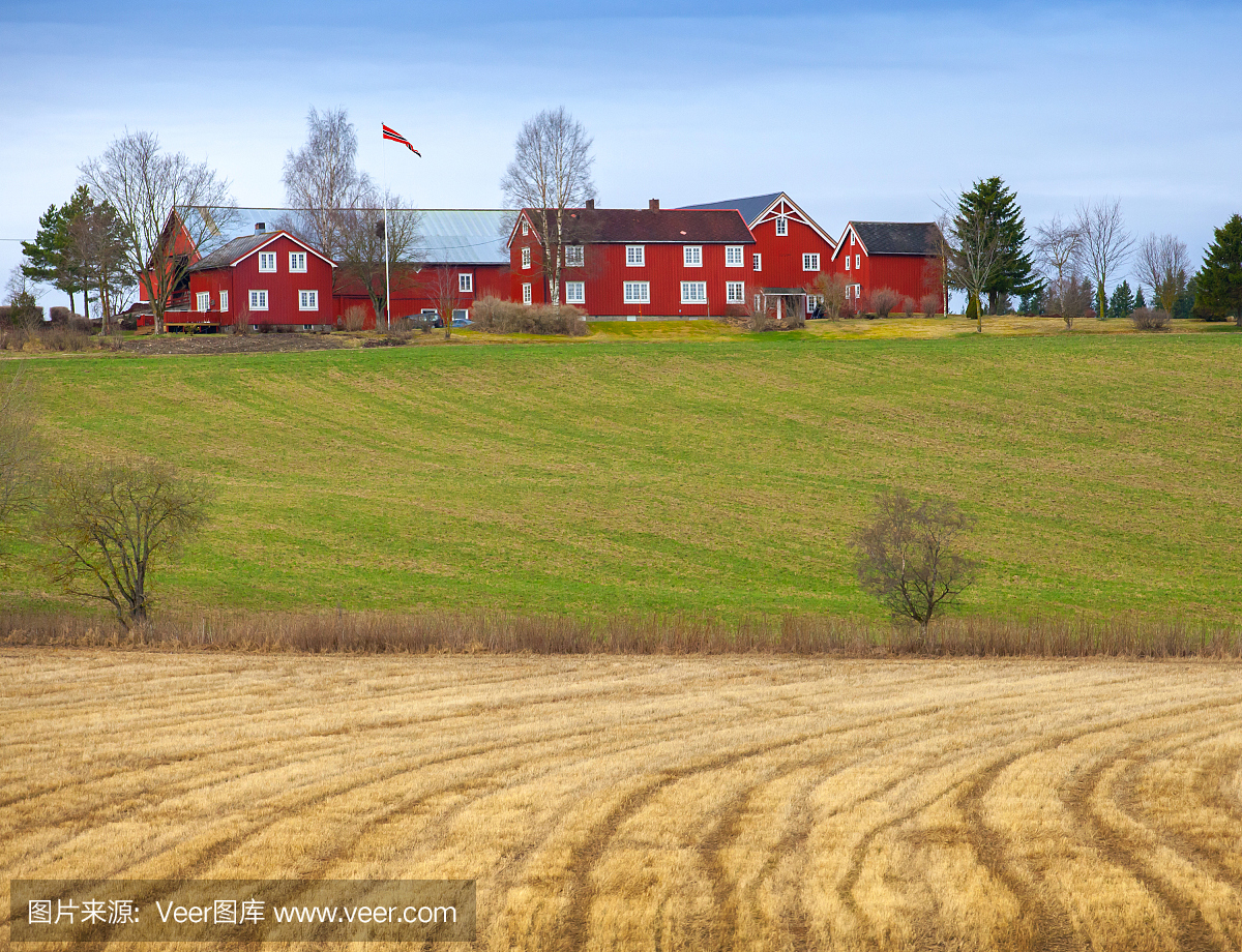 春天农村挪威风景与红色的房子和干燥的田野