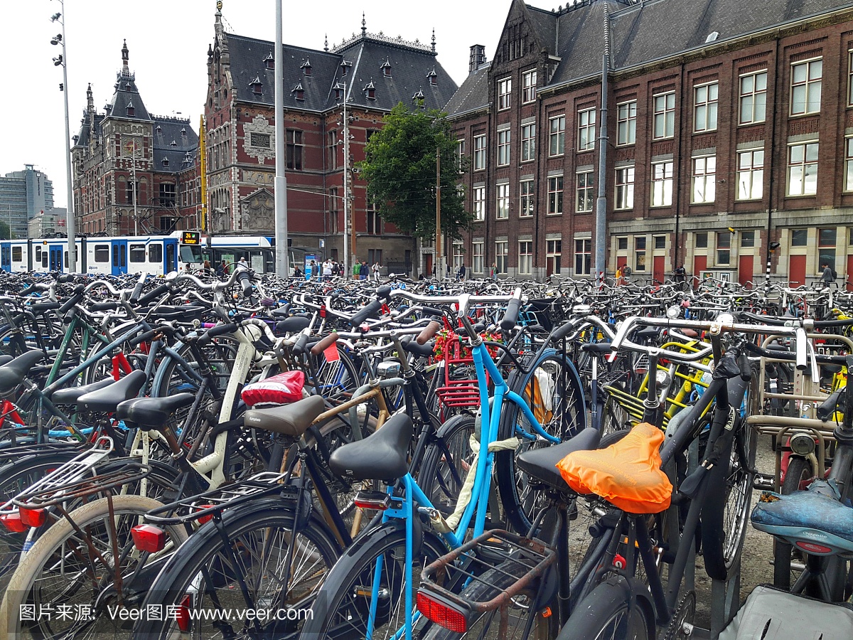 脚踏车,荷兰文化,著名景点,自行车