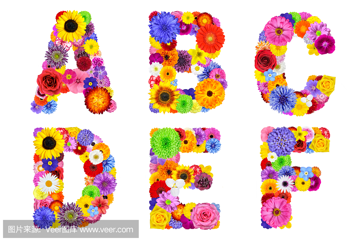 蜡菊,麦秆菊,矢车菊,车矢菊