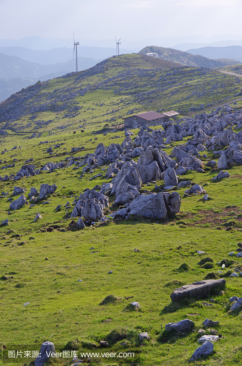 高知县,日本高知县,日本四岛国中南部港市,爱媛