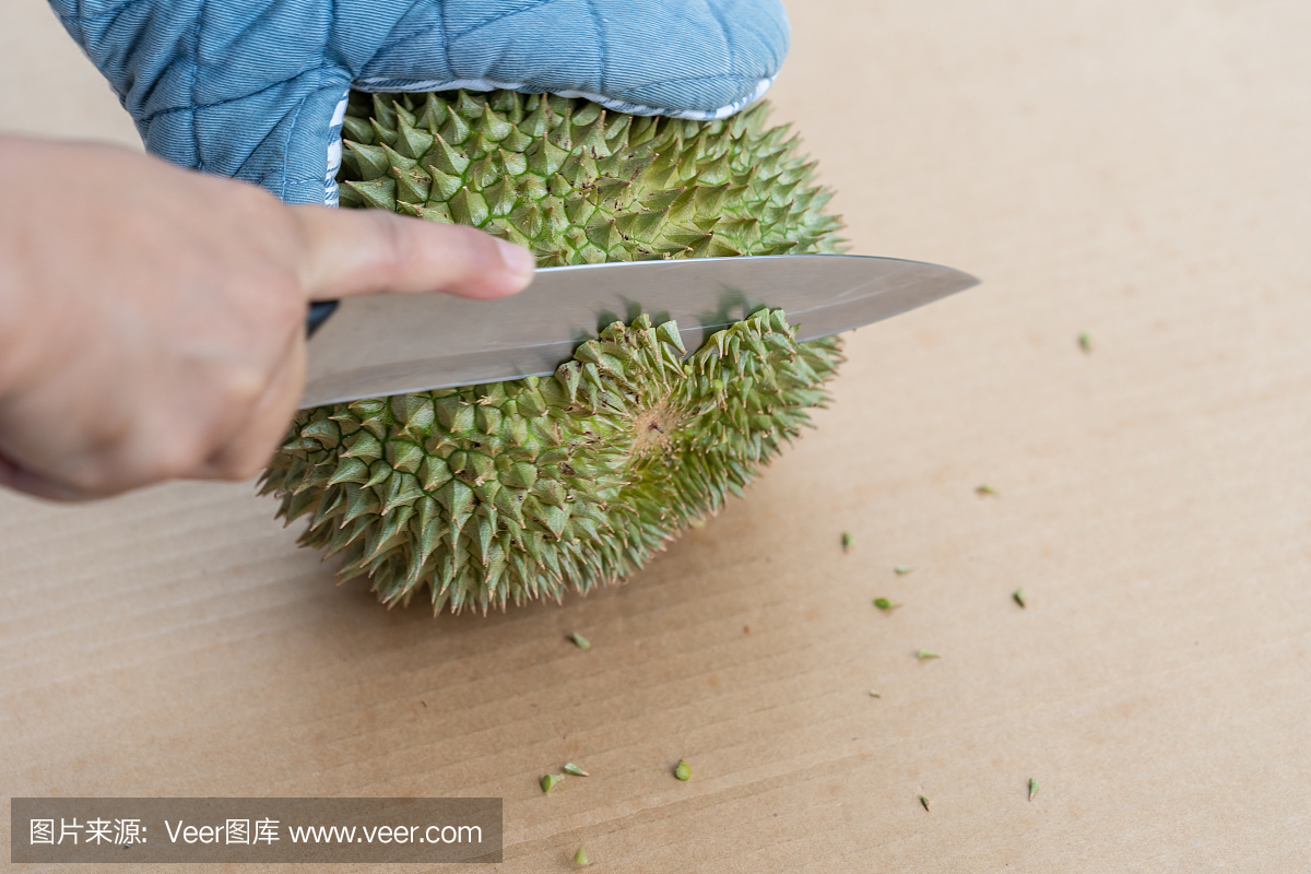 手用刀去皮有很多刺的榴莲壳。'热带季节性水