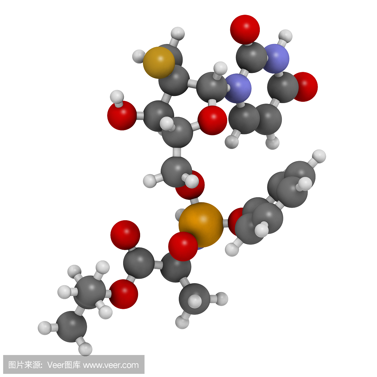 肝炎,肝病,病毒性肝炎,英文字母C