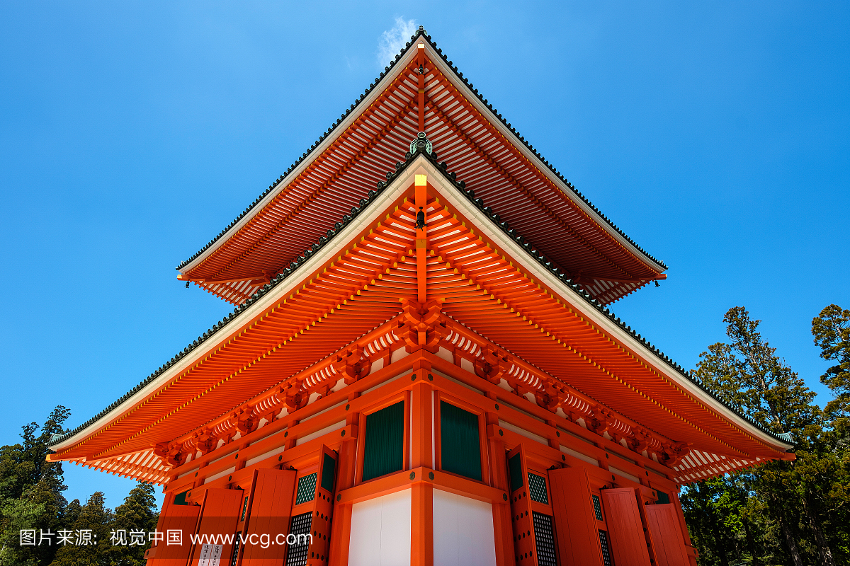 高缅甸,高野大山,蟒蛇,风景图片野山金花蟒皮与野生风景皮哪个好图片