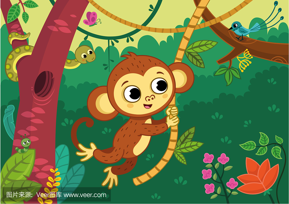 可爱的猴子男孩在丛林中的藤蔓上荡秋千。