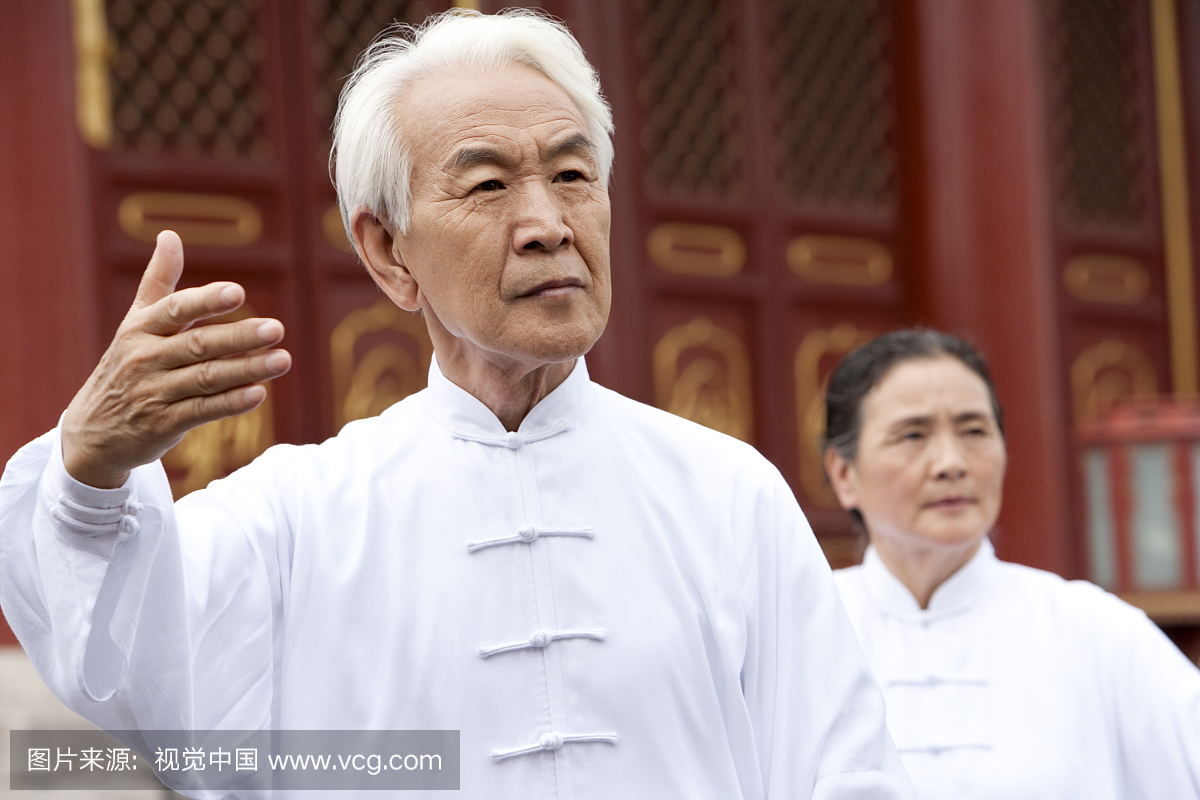 太极,太极拳手,武功,太极气功