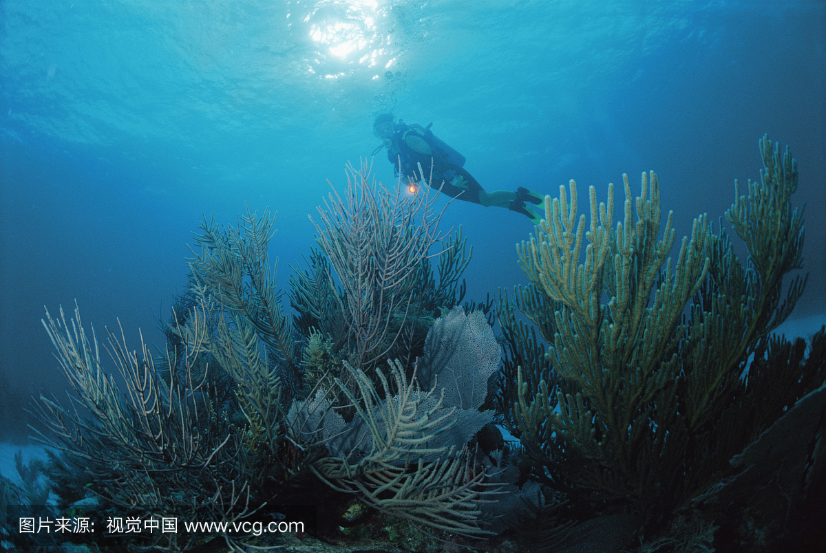 人,发现号,档案,一个人