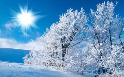 唯美雪景高清宽屏桌面壁纸-风景壁纸-657kb