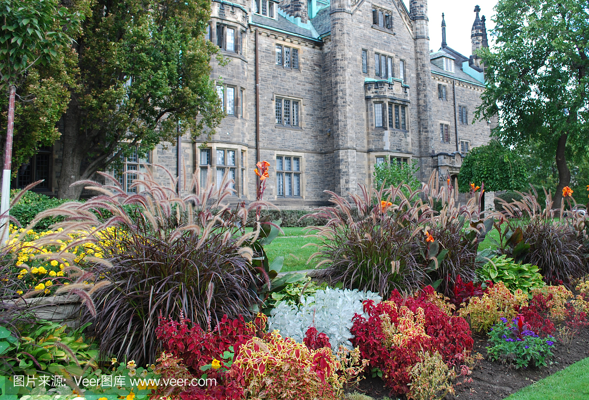 多伦多大学三一学院英语花园