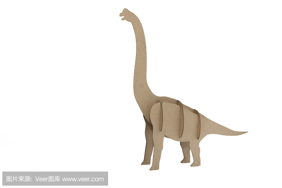 古生物学,古生物种,古生物的,古生物