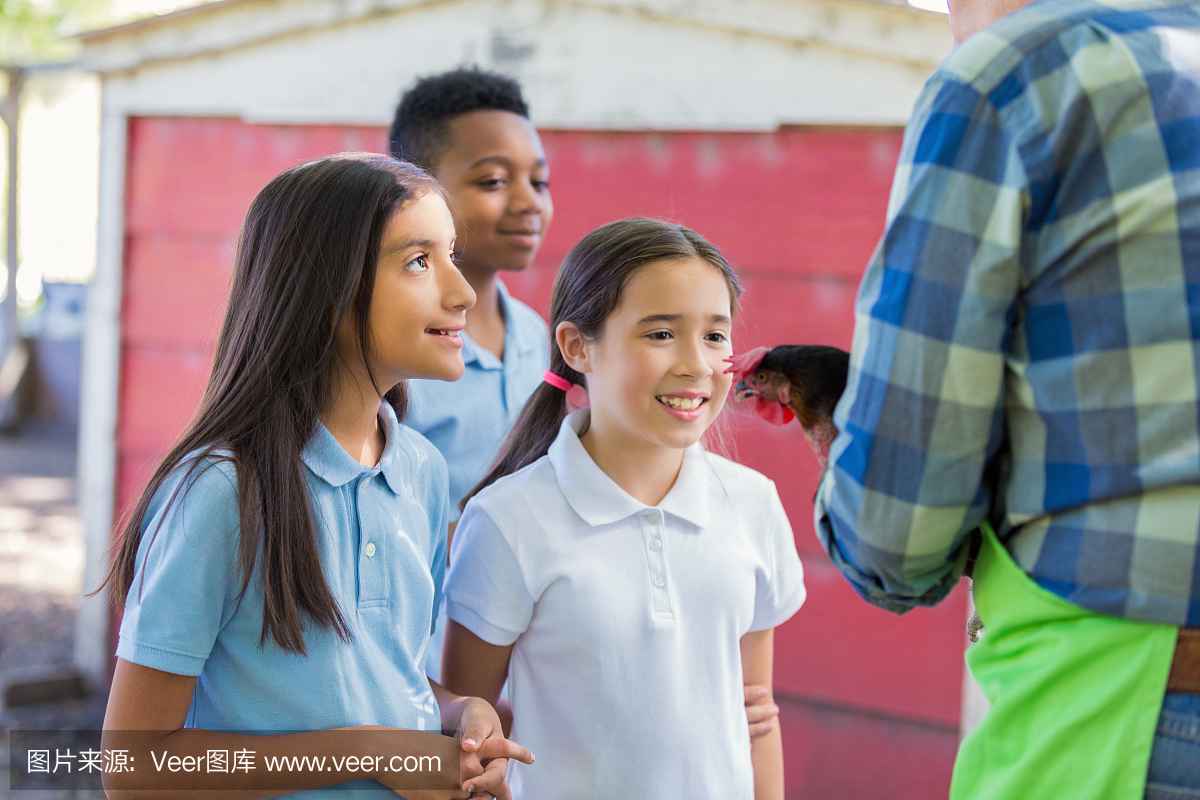 小学生小孩在野外旅行在农场与鸡