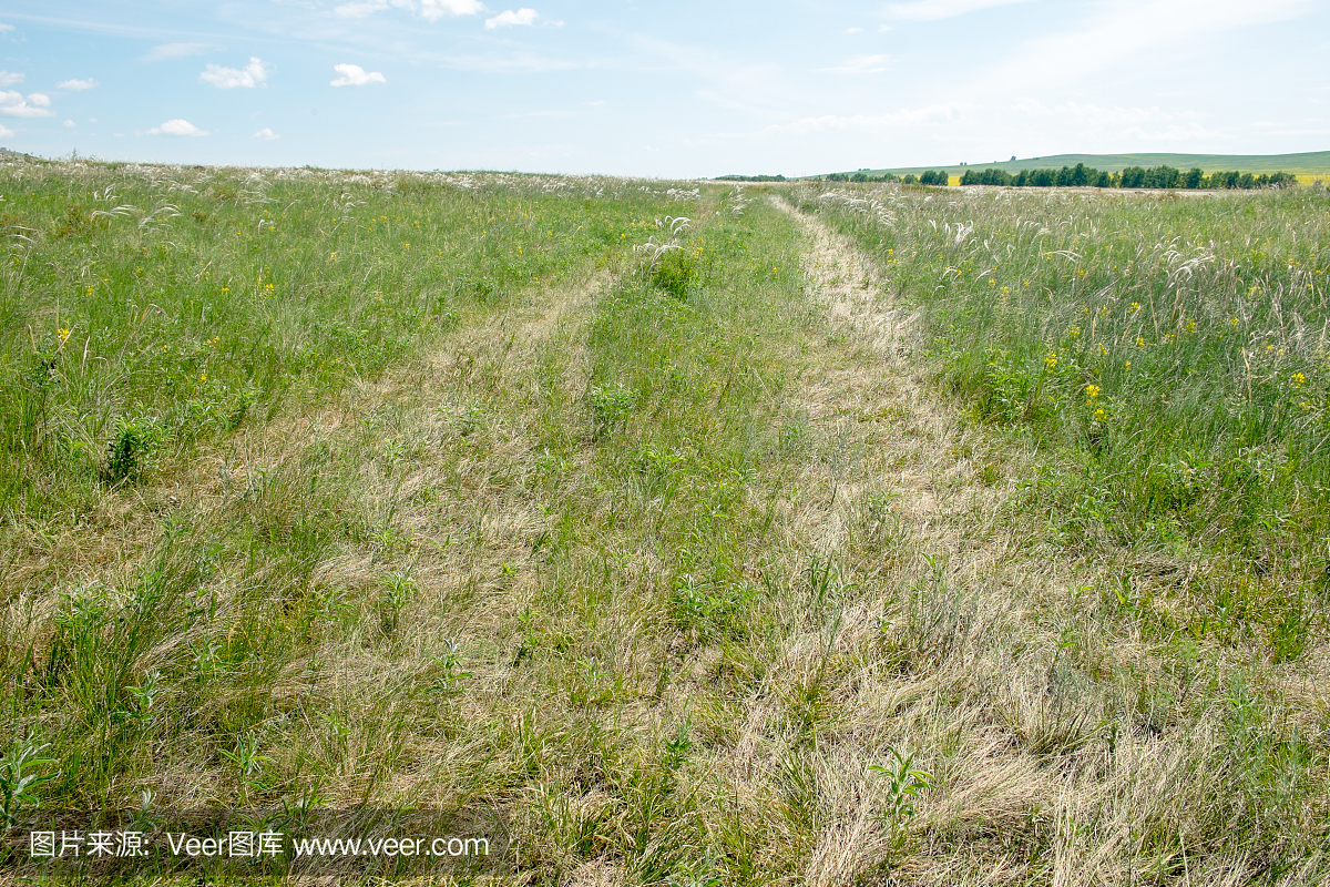 农村公路在平坦的地形。 2016年6月。西伯利