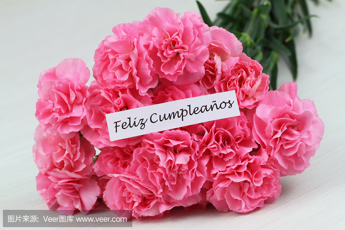 Feliz cumpleanos(生日快乐西班牙语)卡片与粉