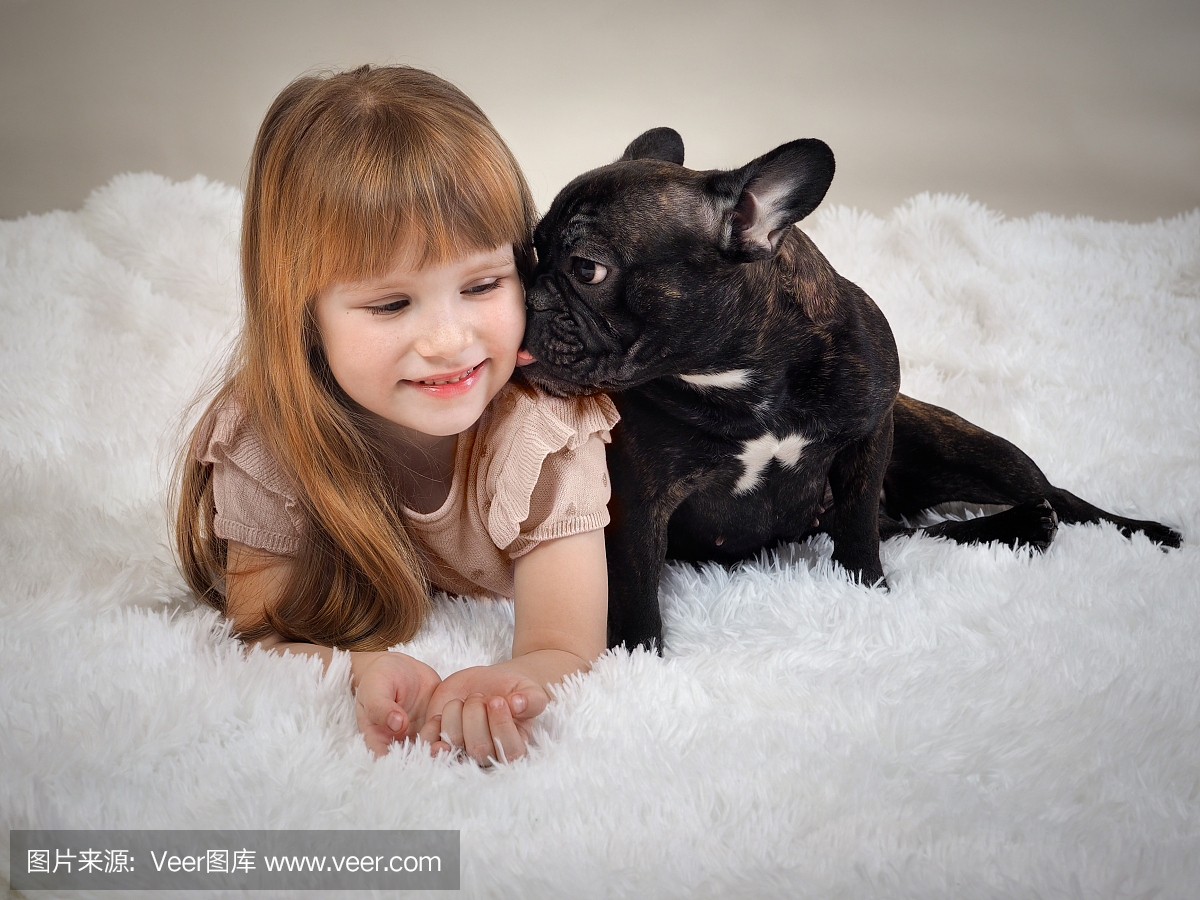 狗舔宝宝。红发小女孩和宠物狗 - 黑色法国斗牛