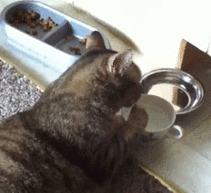 qq表情_搞笑图片_gif动态图片_qq表情包_qq图-617kb