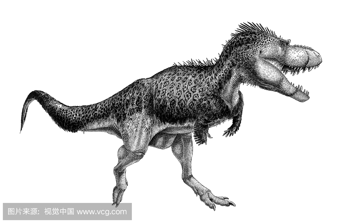 恐龙,恐龙遗骸类恐龙物,动物主题,动物