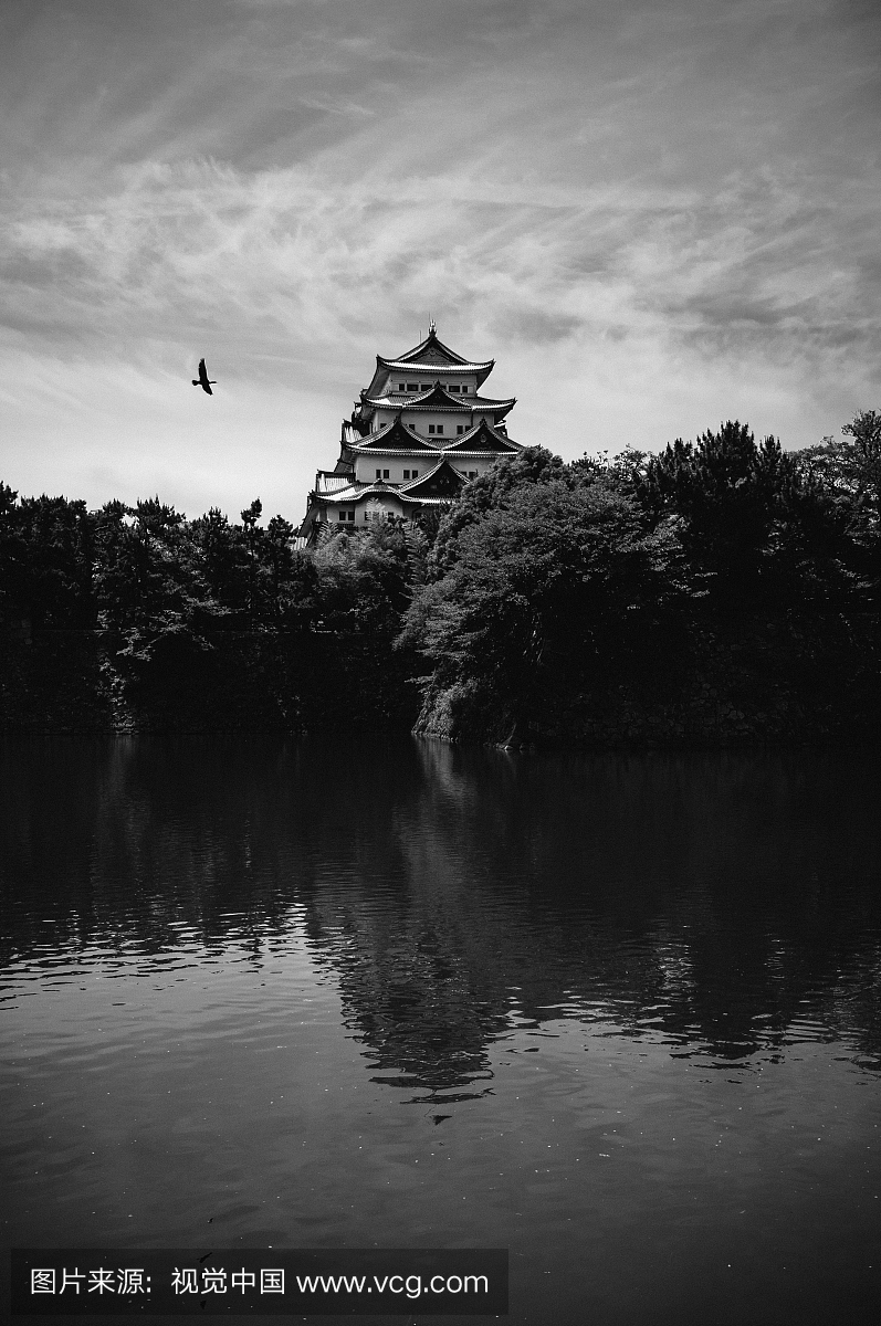 名古屋城堡和鸟