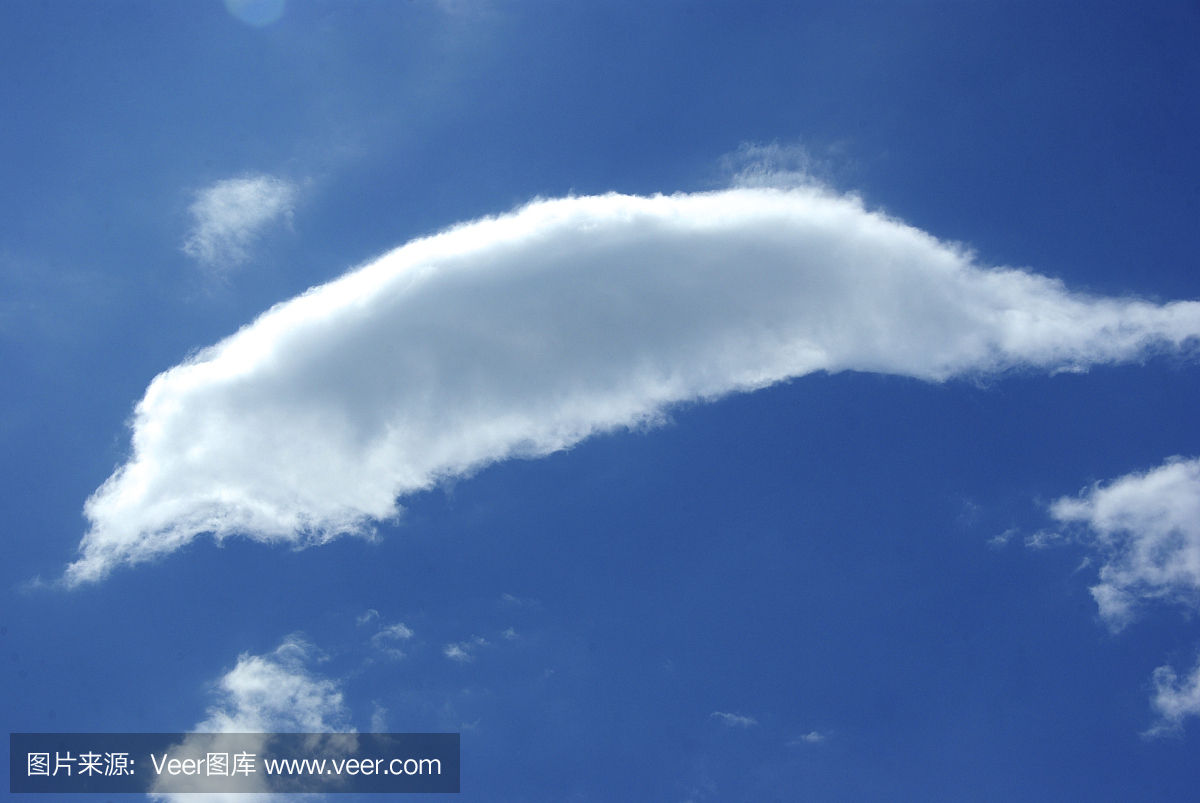 高清晰蓝天白云飞翔的海鸥鸟壁纸