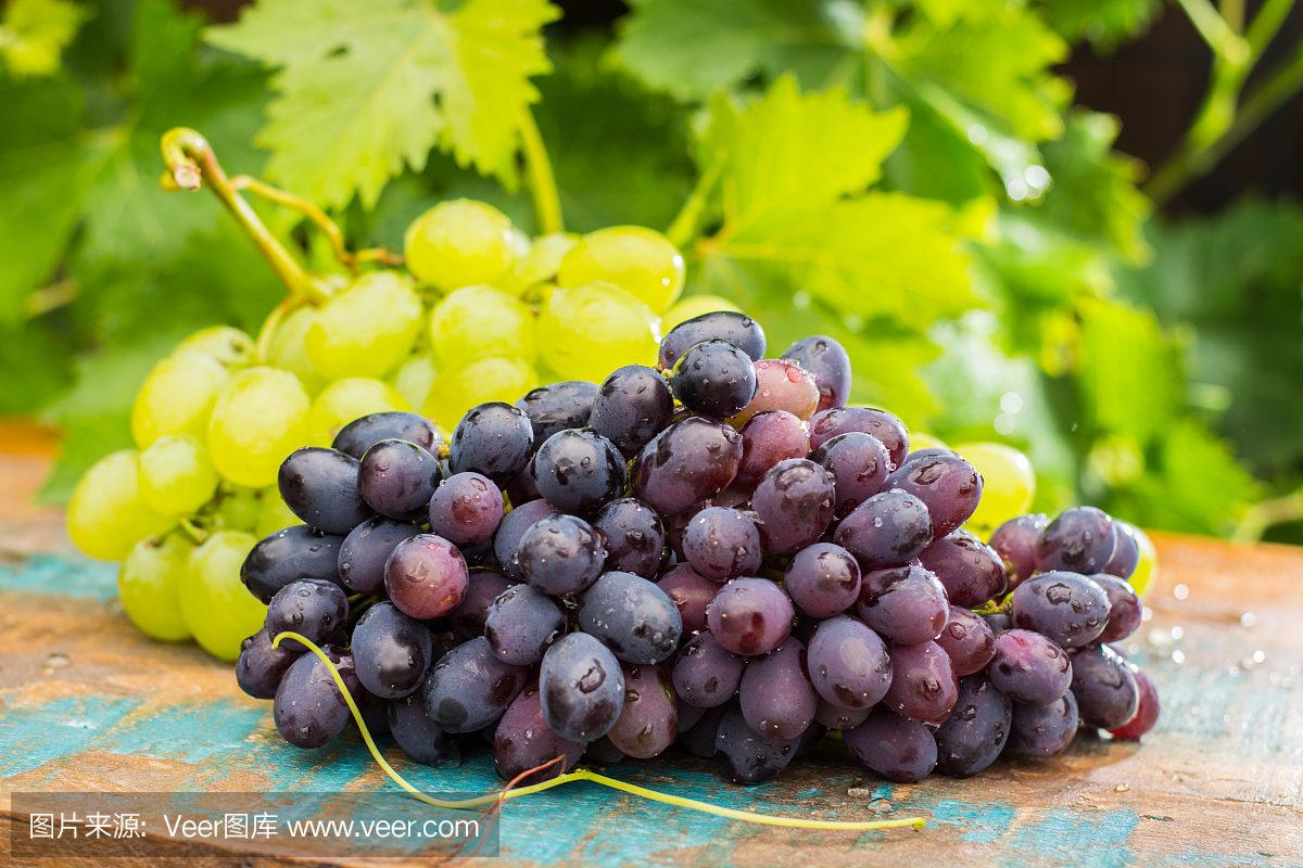 Healthy fruits Red and White wine grapes in the
