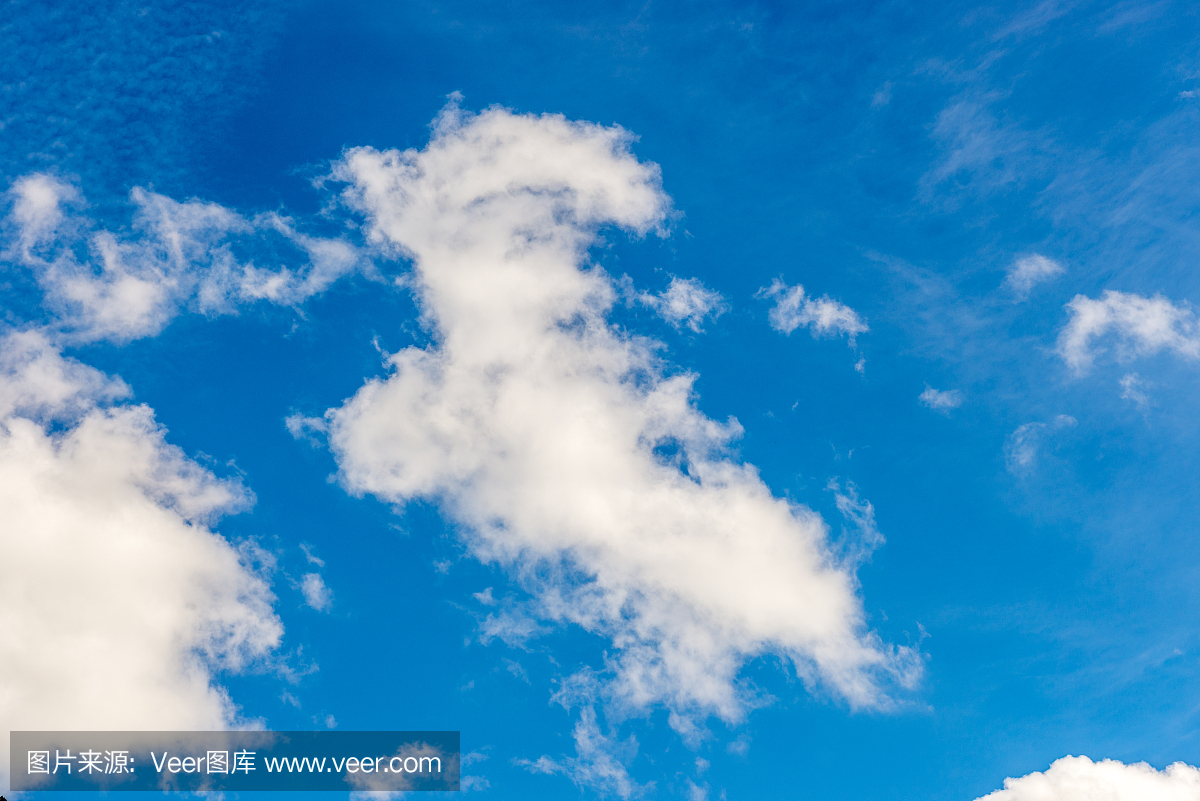 在蓝天的动物形状的云