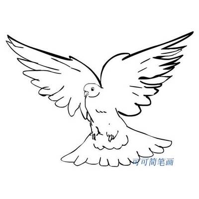 如何画鸽子的简笔画,儿童学画鸽子的简笔画画-21kb
