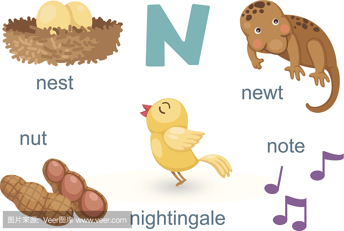分别以字母j,n,v,y,x开头的动物英语单词有那些?