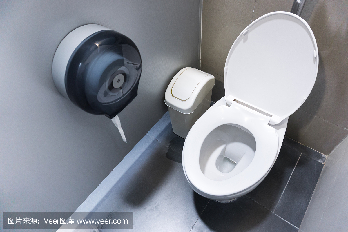 Toilet bowl in a modern bathroom with bins and