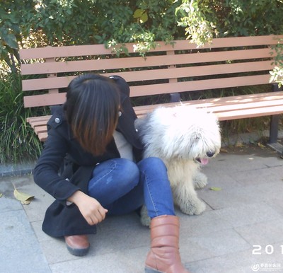 美女爱狗狗|美女与狗狗做了几次爱|女人爱狗狗-544kb