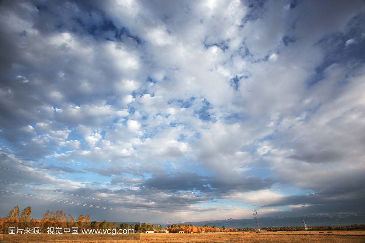 亚洲,欧洲,白色人种,新疆维吾尔自治区