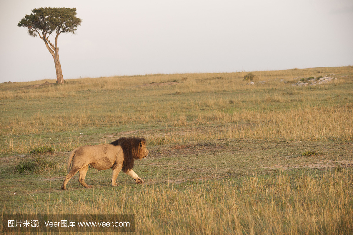 摄影,旅行,美国,冒险