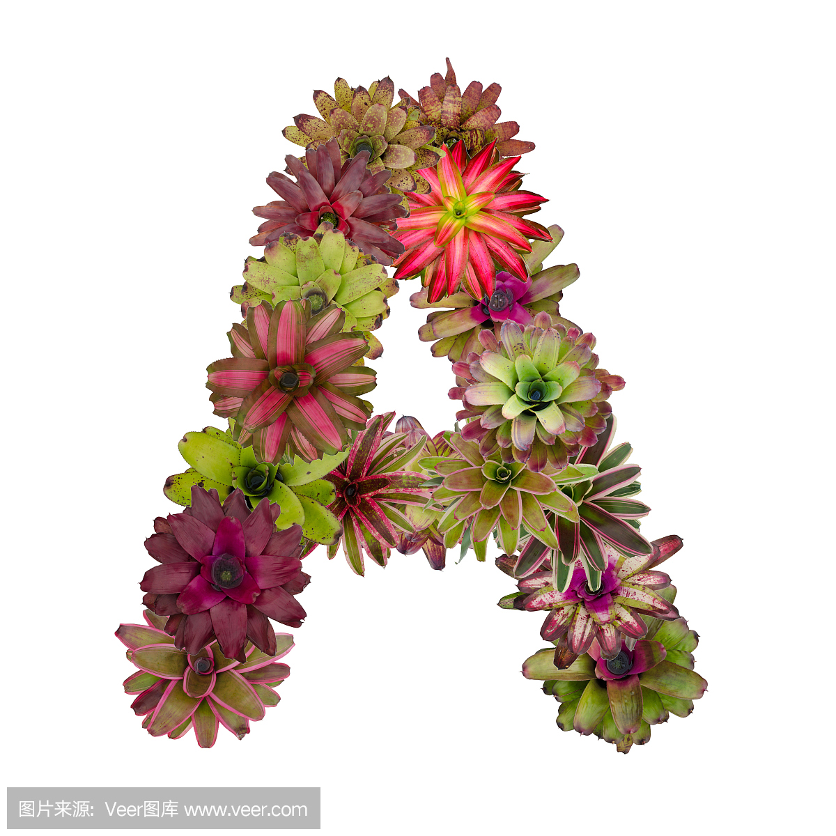 短笛,笛子,英文字母A,英语字母A