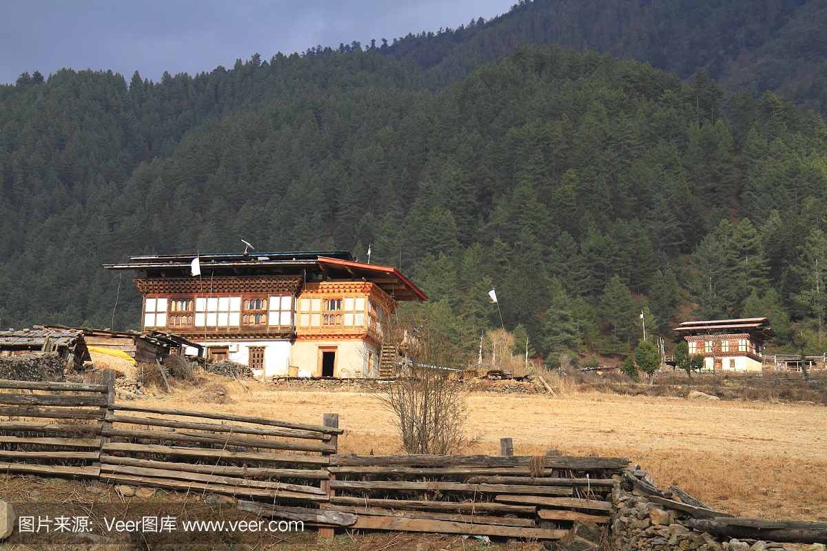 布姆塘,本塘,布塘,不丹