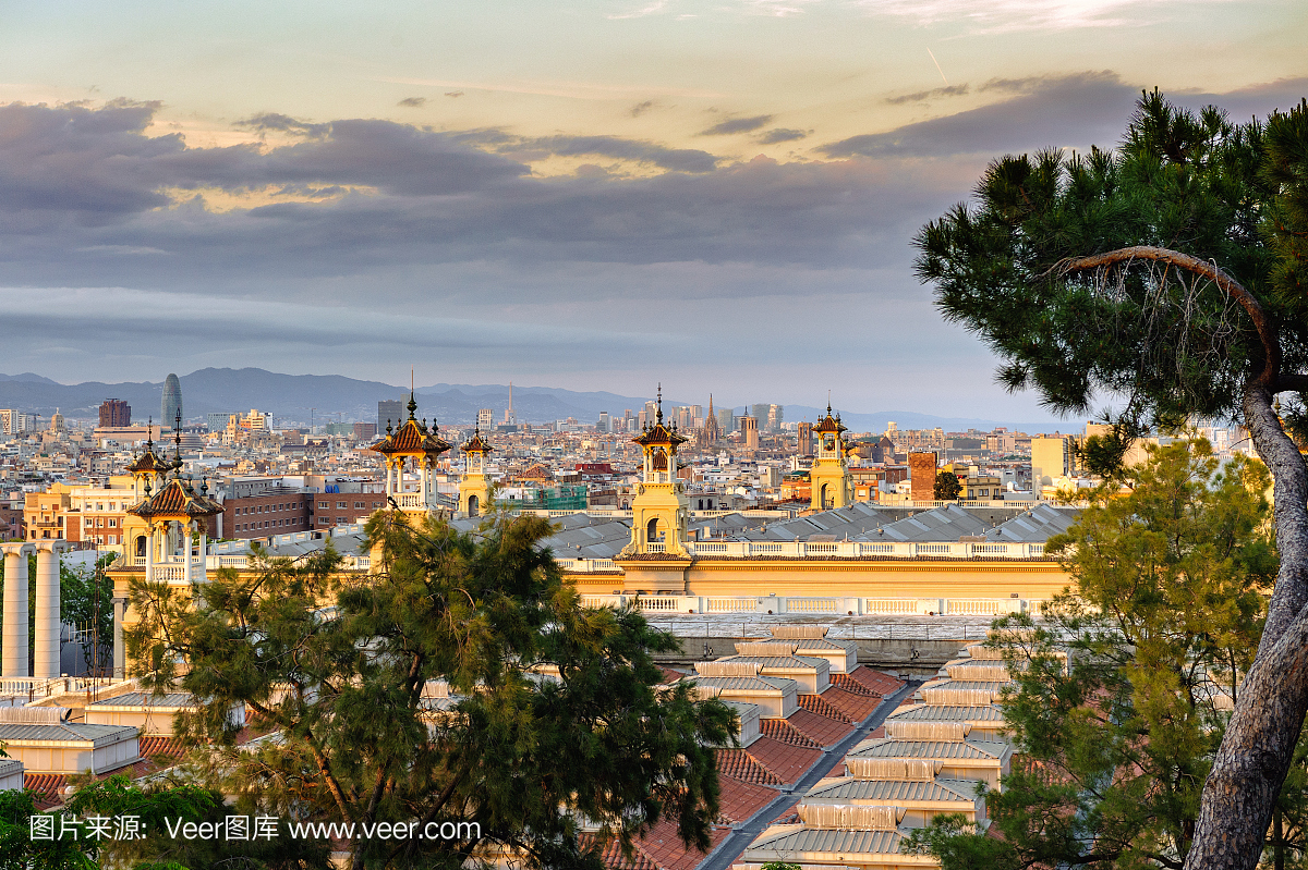 从Montjuic山,西班牙的巴塞罗那小镇的晚上鸟瞰