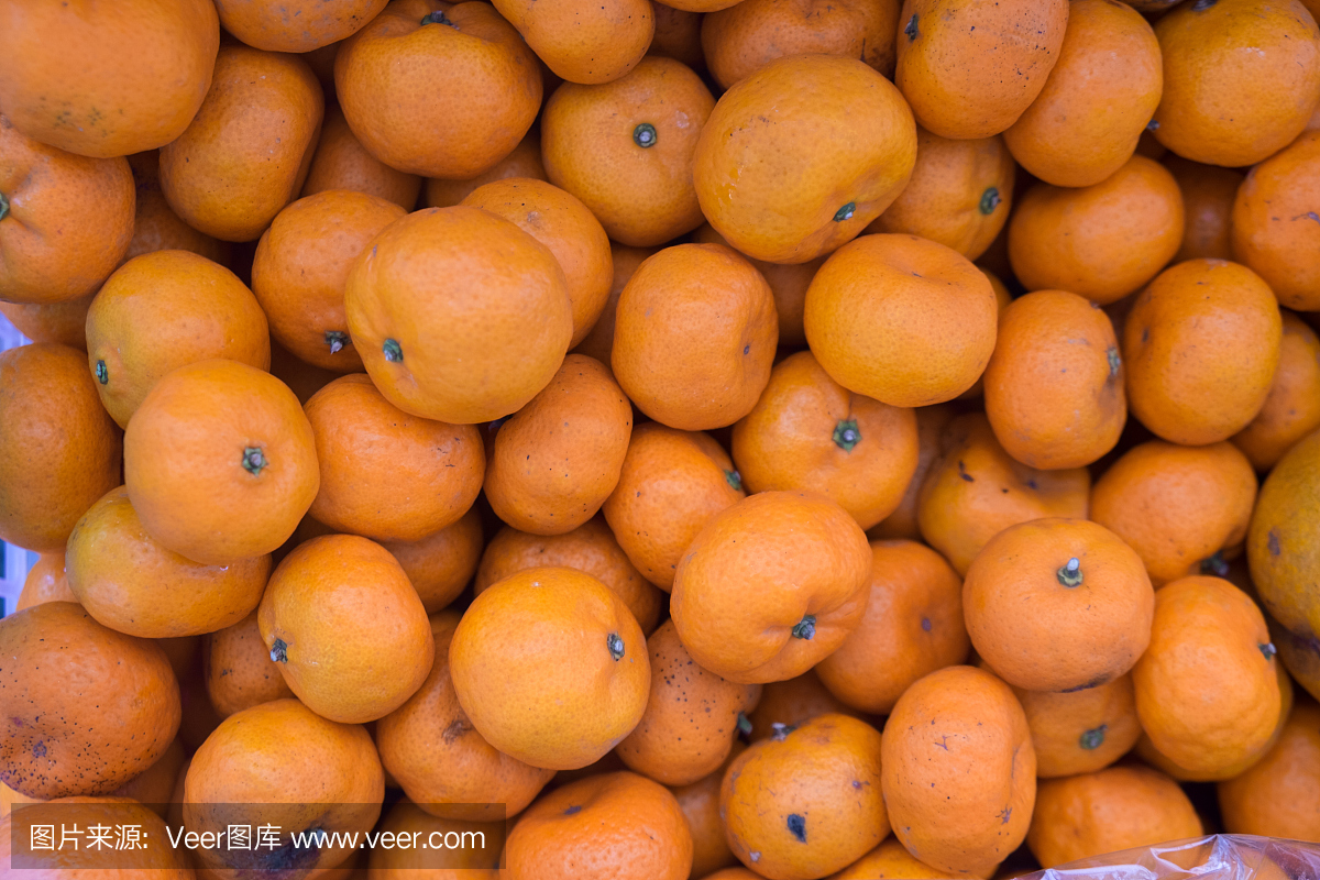 橘子也被称为罗布森,是一种小柑橘树,果实类似
