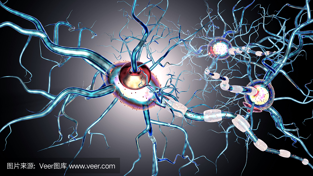 神经细胞,神经变性和神经疾病的概念,肿瘤,脑外