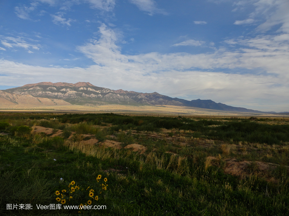 西庇阿,大西庇阿,摄影,自然荒野区