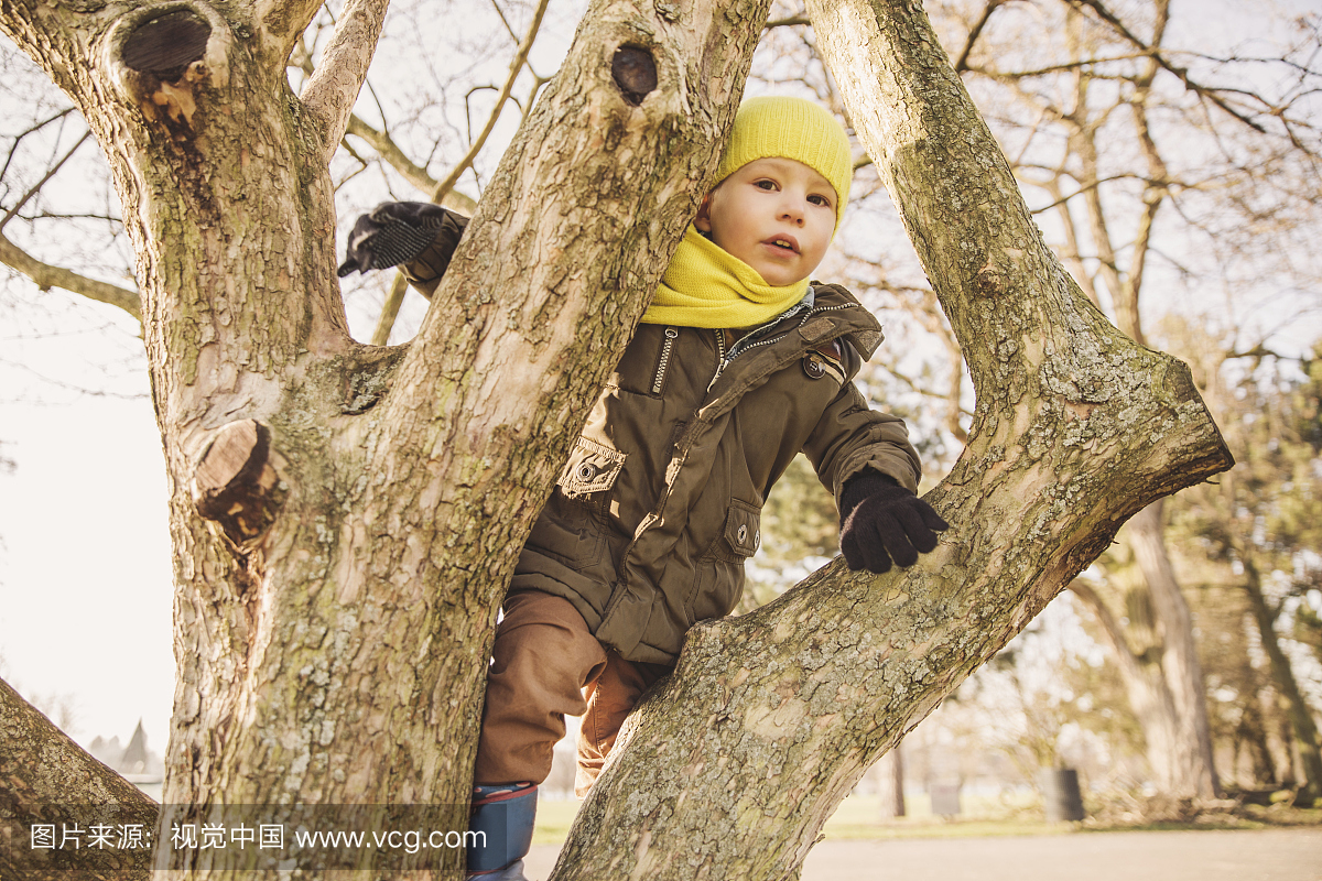快乐的小男孩在冬天在树上攀爬