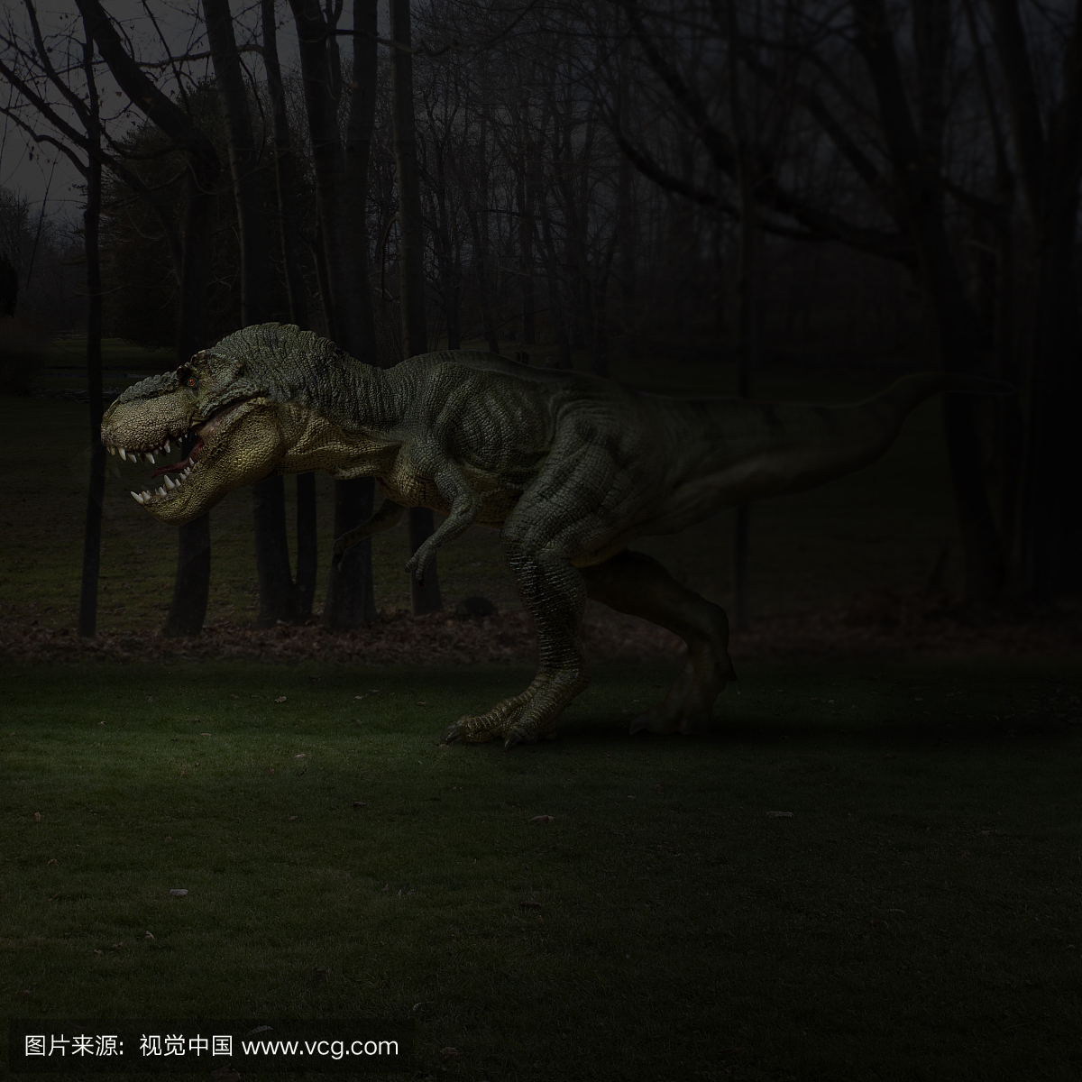 晚上森林里的T-Rex