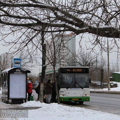 #автобусы #автобусы