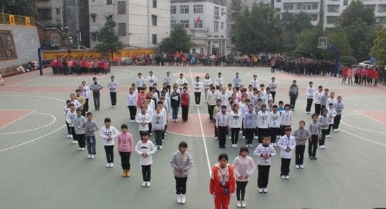 邵阳县塘中学渡口初中数学安卓图片
